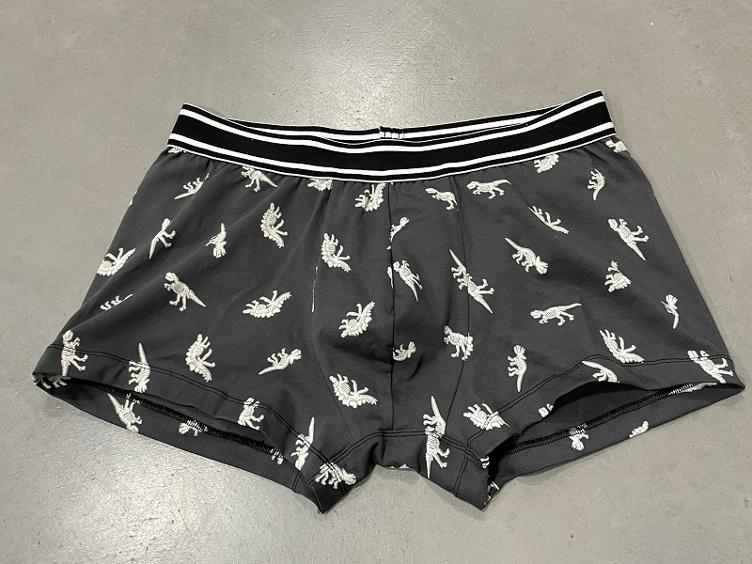 Boxershort Dino grau one size