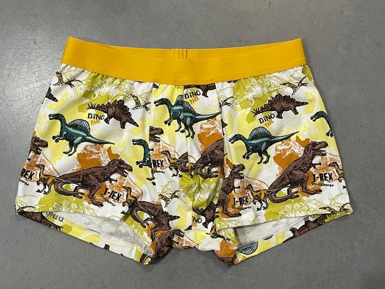 Boxershort Dinosaurier gelb one size