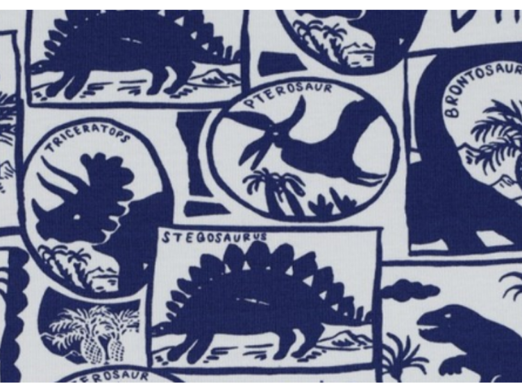 Dino Scenic Jersey