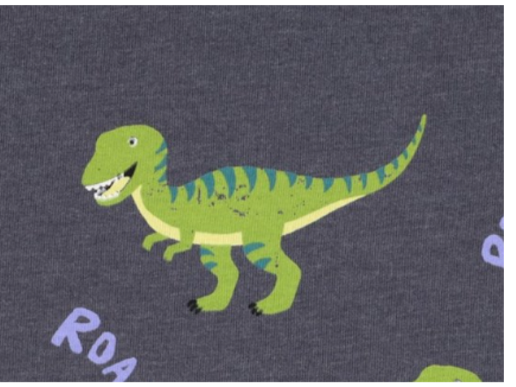 Dinosaurier melange Jersey