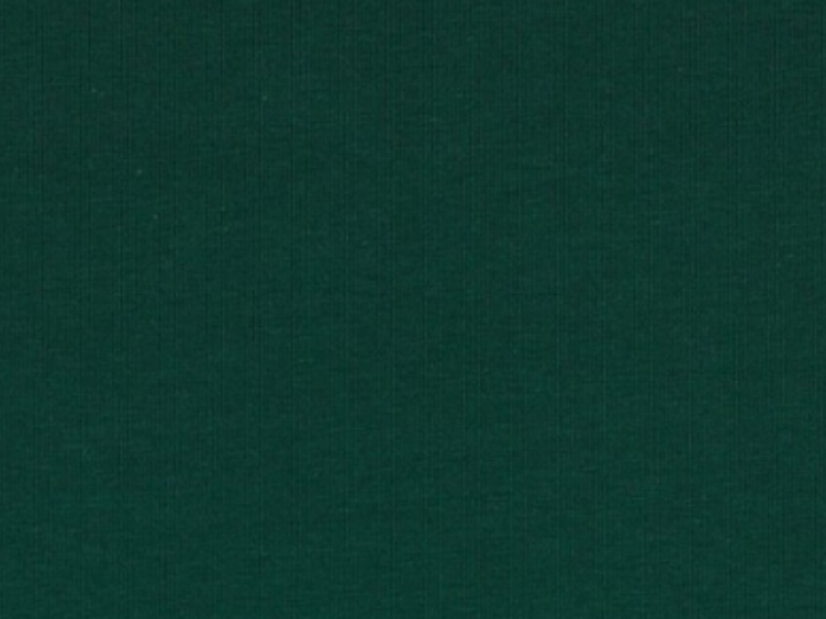 Dunkelgrün uni Jersey