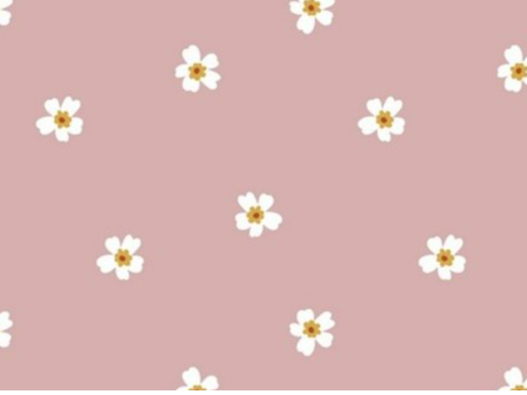 Gänseblümchen rosa Sommersweat