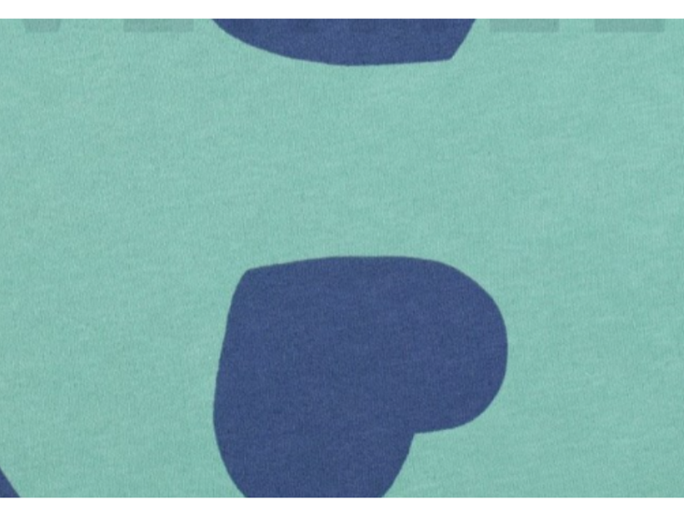Hearts mint Sweat