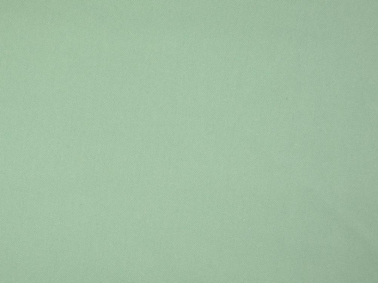 Mint uni Canvas
